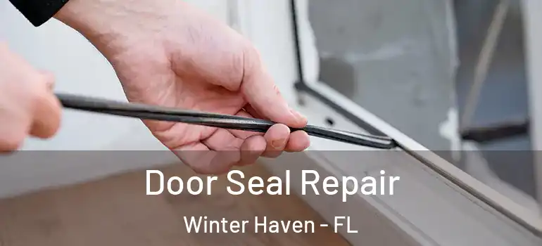  Door Seal Repair Winter Haven - FL