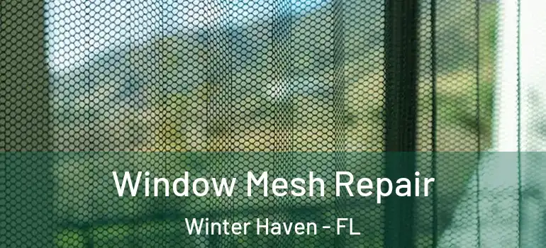  Window Mesh Repair Winter Haven - FL